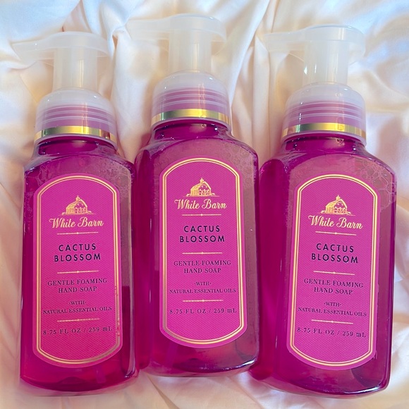 White Barn Bath & Body New White Barn Bath Body Works Cactus